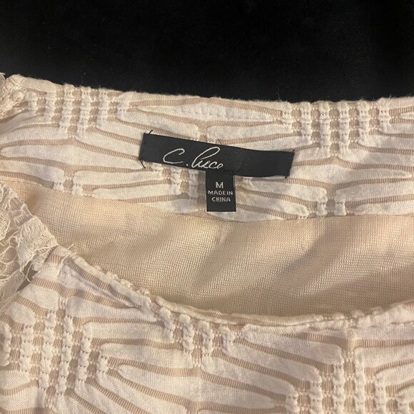 C. Luce Cream Lace Textured Dress NWOT Size M - Picture 4 of 11